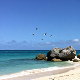 Caribbean Holidays, Birdwatching Holidays, A peaceful tropical beach and coastal rocks on Sint Maarten with seabirds flying above turquoise water