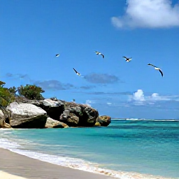 Caribbean Holidays, Birdwatching Holidays, Quiet Caribbean shoreline in Saint Martin with seabirds flying above turquoise water, rocky headland and blue sky