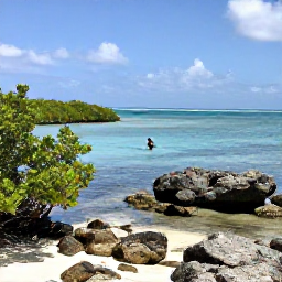 Caribbean Holidays, Bonaire Adventure Holidays, A rugged Bonaire coastline with a lone snorkeller, mangroves and bright Caribbean sunshine