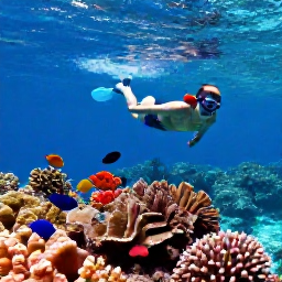 Caribbean Holidays, British Virgin Islands Cruises, A snorkeller swimming above colourful coral and tropical fish in clear shallow water near a Caribbean island