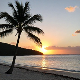 Caribbean Holidays, British Virgin Islands, Relaxed Caribbean sunset over a quiet British Virgin Islands beach with palm trees and calm sea