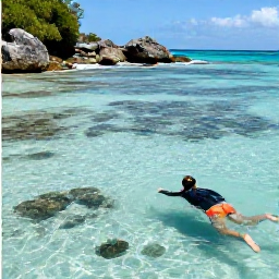 Caribbean Holidays, BVI Nature Holidays, Snorkeller exploring clear shallow water beside rocky coastline and coral reefs in the British Virgin Islands