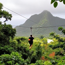 Caribbean Holidays, Caribbean Adventure, Zip line adventure above tropical forest with Caribbean mountains in the distance