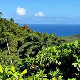 Caribbean Holidays, Caribbean Birdwatching, Travellers birdwatching from a scenic hillside overlooking tropical Caribbean forest and distant blue sea