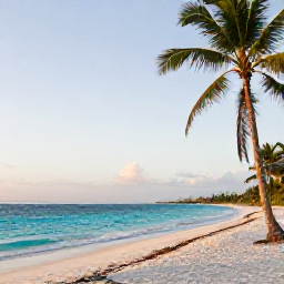 Caribbean Holidays, Caribbean in June, A quiet Caribbean beach in June with turquoise water, palm trees and soft morning sunlight
