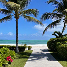 Caribbean Holidays, Caribbean Nature Walks, A scenic Caribbean coastal path overlooking turquoise sea, palm trees and a quiet sandy beach