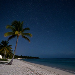 Caribbean Holidays, Caribbean Stargazing, A quiet Caribbean beach at night with palm trees, calm sea and a clear sky full of stars