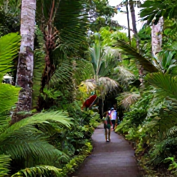Caribbean Holidays, Caribbean Wildlife Reserves, A lush Caribbean wildlife reserve with tropical forest, winding paths, colourful birds and visitors exploring quietly