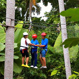Caribbean Holidays, Caribbean Ziplining, Visitors wearing comfortable outdoor clothing preparing for a Caribbean zipline tour beneath tall tropical trees