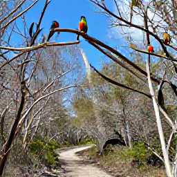 Caribbean Holidays, Cayman Birdwatching, Colourful Caribbean birds perched in dry forest near the coast of Grand Cayman, with a natural trail and blue sky