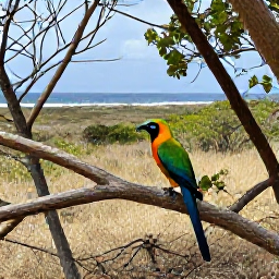 Caribbean Holidays, Cayman Birdwatching, Colourful tropical bird perched in dry forest on Grand Cayman, with a natural coastal landscape in the background