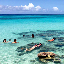 Caribbean Holidays, Cayman February, Visitors snorkelling in clear shallow water near colourful fish and coral off Grand Cayman