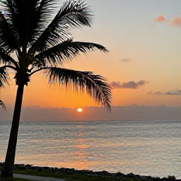 Caribbean Holidays, Cayman Instagram Spots, A peaceful Cayman Islands sunset over the Caribbean Sea, with palm silhouettes, warm orange light and calm water