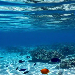 Caribbean Holidays, Cayman Instagram Spots, Colourful tropical fish and coral reef visible through clear water at a calm snorkelling site in the Cayman Islands