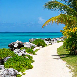 Caribbean Holidays, Cayman Walking Holidays, A scenic coastal walking trail in Grand Cayman during bright March sunshine, with turquoise sea, limestone shore and tropical vegetation