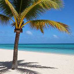 Caribbean Holidays, Cheap Aruba September, Relaxed September beach scene at Eagle Beach Aruba, with broad white sands, shady fofoti trees and bright blue sea