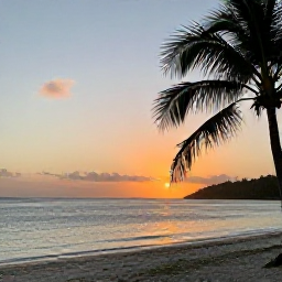 Caribbean Holidays, Cheap August Holidays, Sunset over a quiet British Virgin Islands beach with warm light, calm sea and palm silhouettes