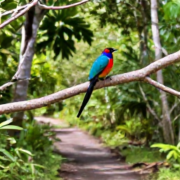 Caribbean Holidays, Cheap Birdwatching Holidays, Colourful Caribbean birds perched in tropical forest branches beside a quiet nature trail