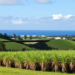 Caribbean Holidays, Cheap December Holidays, Scenic railway travelling through green hills and sugar cane fields on Saint Kitts with ocean views in the distance