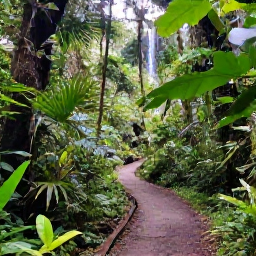 Caribbean Holidays, Cheap February Puerto Rico, Lush El Yunque rainforest in Puerto Rico with a walking trail, tropical plants and a small waterfall