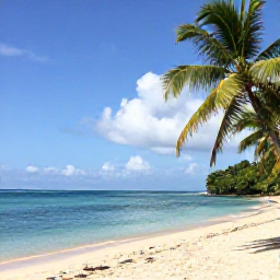 Caribbean Holidays, Cheap January Holidays, Sunny Caribbean beach in Saint Lucia during January, with calm turquoise water, palm trees and a relaxed holiday atmosphere
