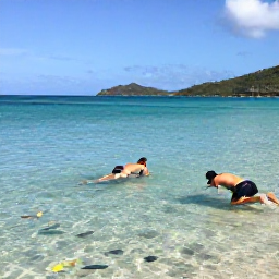 Caribbean Holidays, Cheap January Holidays, Travellers snorkelling in clear shallow water near a Caribbean beach in the U.S. Virgin Islands, bright fish and gentle January sunlight