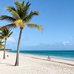 Caribbean Holidays, Cuba Adults Only, A relaxed adults-only beach resort in Cuba in November, with palm trees, a wide sandy beach, turquoise Caribbean water and warm sunshine
