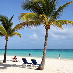 Caribbean Holidays, Cuba Beach Holidays, Travellers relaxing beneath palm trees on a Cuban beach in August, with sun loungers, clear water and a gentle sea breeze