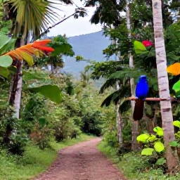Caribbean Holidays, Cuba Birdwatching March, Colourful Cuban birds perched in tropical woodland near a forest trail, with a distant mountain landscape