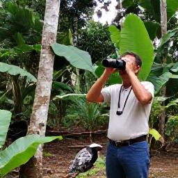 Caribbean Holidays, Cuba Birdwatching May, Peaceful Cuban countryside with a local birdwatching guide, binoculars and native woodland