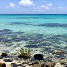 Caribbean Holidays, Cuba Nature Holidays, A quiet Cuban coastline with clear turquoise water, coral reef, sea grass and a snorkeller observing tropical fish