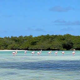 Caribbean Holidays, Cuba Nature Holidays, Cuban flamingos and wetlands in Ci&eacute;naga de Zapata with mangroves, shallow water and a clear blue sky