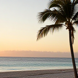 Caribbean Holidays, Cuba Wellness December, Quiet Cuban beach at sunrise in December, soft golden light, palm trees and calm turquoise sea