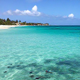 Caribbean Holidays, Cura&ccedil;ao Adults Only, A secluded Cura&ccedil;ao cove with clear turquoise water, colourful tropical fish visible near the shore, sandy beach and snorkellers enjoying the sea