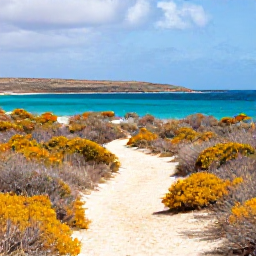 Caribbean Holidays, Curacao Walking Holidays, A sunny coastal walking trail in Curacao in January, with turquoise sea, dry golden scrub and distant hills