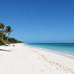 Caribbean Holidays, December Beaches, A wide, quiet white-sand beach on Providenciales in Turks and Caicos, bright December sunshine, calm turquoise sea and a few palm trees