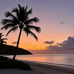 Caribbean Holidays, December Instagram Spots, Sunset viewed from a quiet British Virgin Islands beach, with silhouetted palm trees, calm water and a colourful orange and pink sky