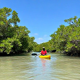 Caribbean Holidays, December Nature, Mangrove kayak tour in the Turks and Caicos Islands, paddler gliding through calm shallow water surrounded by green mangroves