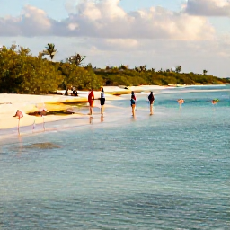 Caribbean Holidays, December Walking, Visitors watching flamingos in a shallow lagoon on Grand Turk, with low mangroves, clear water and warm afternoon light