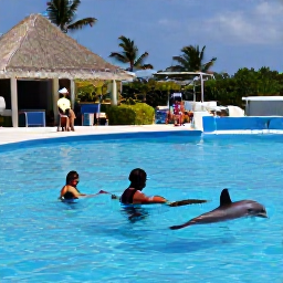 Caribbean Holidays, Dolphin Swimming, A professional marine guide giving a safety briefing to holidaymakers beside a tropical dolphin lagoon