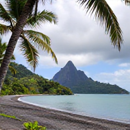 Caribbean Holidays, Dominica in February, A secluded black sand beach on Dominica in February, framed by palms and green hills, with calm turquoise Caribbean water