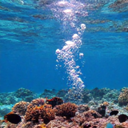 Caribbean Holidays, Dominica Instagram Spots, Champagne Reef Dominica underwater snorkelling scene, volcanic bubbles rising from seabed, colourful tropical fish, clear blue Caribbean water, sunny day