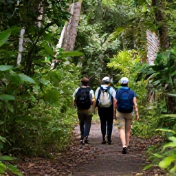 Caribbean Holidays, Dominican Birdwatching, Small group of birdwatchers enjoying a peaceful guided nature walk through Dominican Republic woodland in March