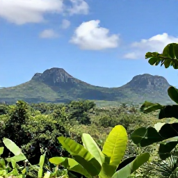 Caribbean Holidays, Dominican Nature Holidays, A lush Dominican Republic national park in April, with tropical forest, limestone hills and a clear blue sky