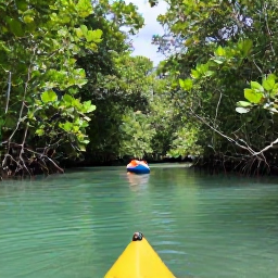 Caribbean Holidays, Dominican Republic Nature, Kayakers exploring calm mangrove channels and turquoise water in Los Haitises National Park, Dominican Republic