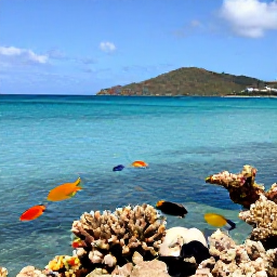 Caribbean Holidays, February Beaches, Snorkeller viewing colourful fish above a coral reef in the clear turquoise waters of the British Virgin Islands, sunny tropical setting