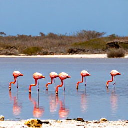 Caribbean Holidays, February Birdwatching, Bright pink flamingos feeding in a shallow salt lake surrounded by Bonaire's arid landscape