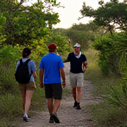 Caribbean Holidays, February Birdwatching, Friendly local birdwatching guide leading visitors along a quiet Cura&ccedil;ao nature trail in soft morning light