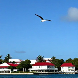 Caribbean Holidays, February Birdwatching, Gustavia harbour and red-roofed buildings on Saint Barth&eacute;lemy beneath a clear February sky, with a seabird flying overhead