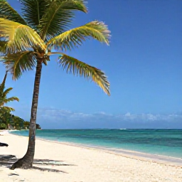 Caribbean Holidays, February Diving, Relaxed Caribbean beach near Bayahibe with palm trees, turquoise sea and a sunny February atmosphere